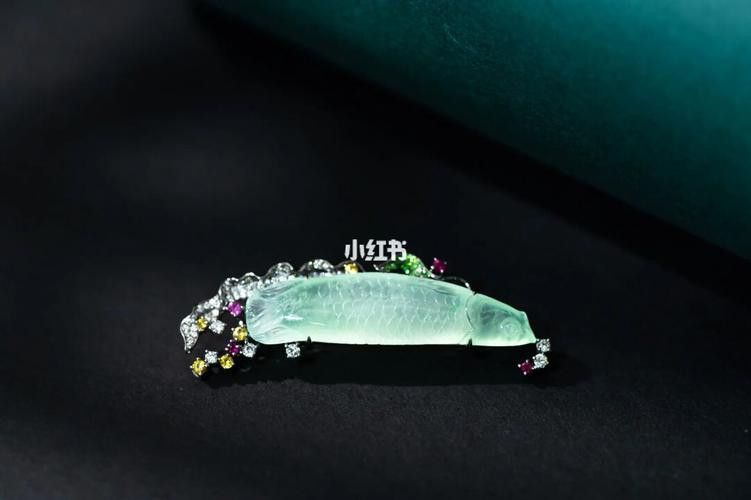 翡翠金龍魚圖片 翡翠金龍魚圖片 龍魚百科 第6張