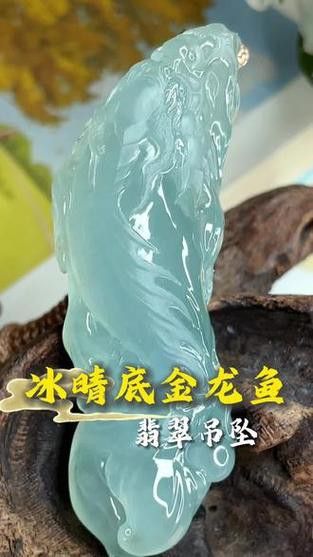 翡翠金龍魚圖片 翡翠金龍魚圖片 龍魚百科 第7張