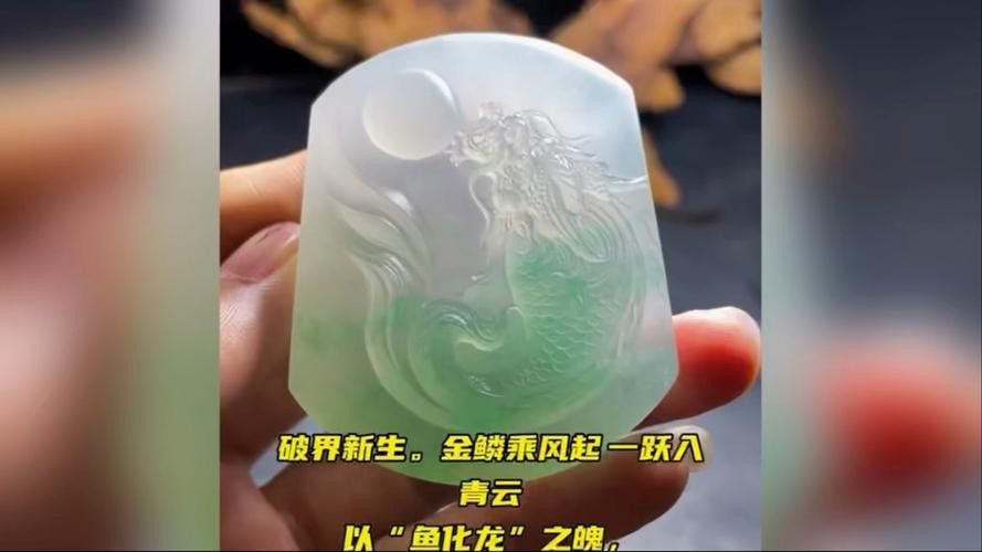 翡翠金龍魚圖片 翡翠金龍魚圖片 龍魚百科 第10張