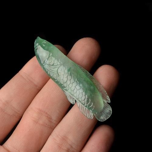 翡翠金龍魚圖片 翡翠金龍魚圖片 龍魚百科 第13張