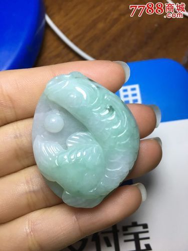 翡翠金龍魚圖片 翡翠金龍魚圖片 龍魚百科 第15張