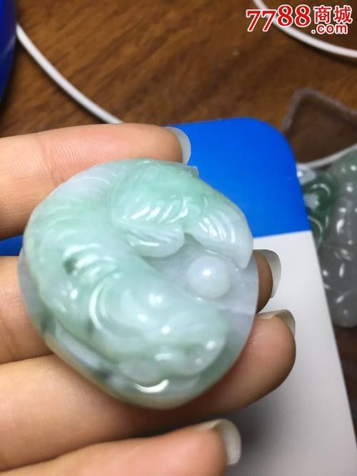 翡翠金龍魚圖片 翡翠金龍魚圖片 龍魚百科 第19張