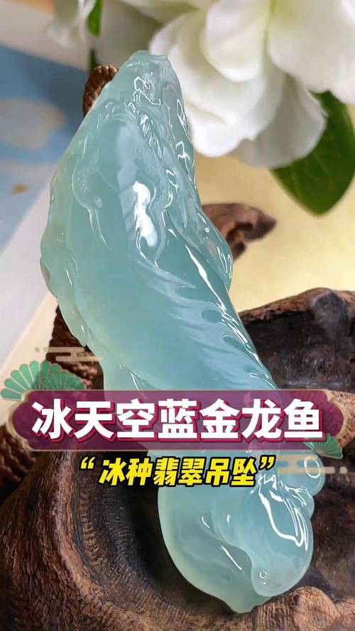 翡翠金龍魚圖片 翡翠金龍魚圖片 龍魚百科 第22張