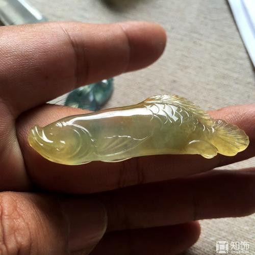 翡翠金龍魚圖片 翡翠金龍魚圖片 龍魚百科 第23張