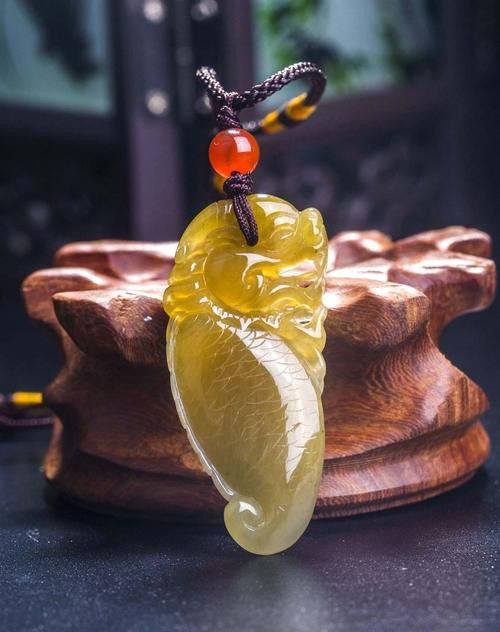 翡翠金龍魚圖片 翡翠金龍魚圖片 龍魚百科 第25張