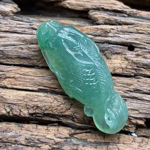 翡翠金龍魚圖片 翡翠金龍魚圖片 龍魚百科 第35張