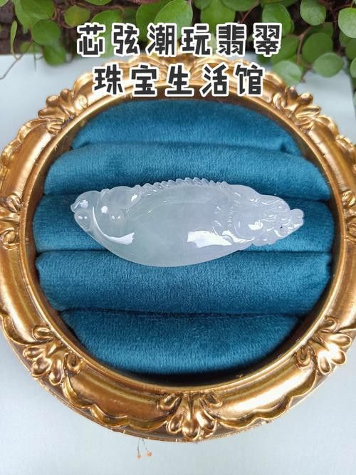 翡翠金龍魚圖片 翡翠金龍魚圖片 龍魚百科 第31張
