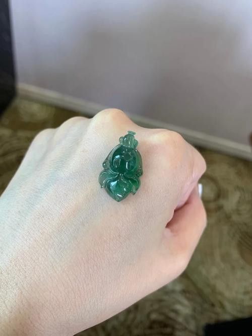 翡翠金龍魚圖片 翡翠金龍魚圖片 龍魚百科 第42張