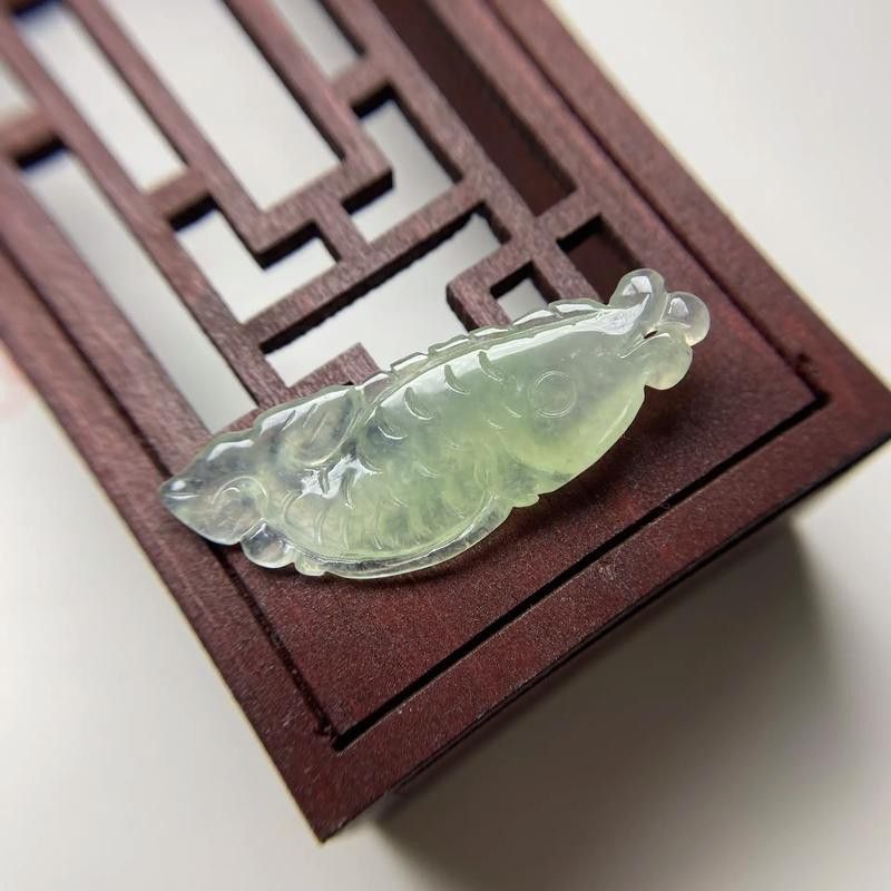 翡翠金龍魚圖片 翡翠金龍魚圖片 龍魚百科 第43張