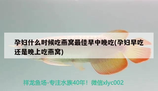 紅龍魚用什么顏色的燈：紅龍魚燈光強度控制技巧紅龍魚燈光強度控制技巧