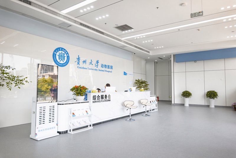 貴陽龍魚治療機構(gòu)電話地址查詢