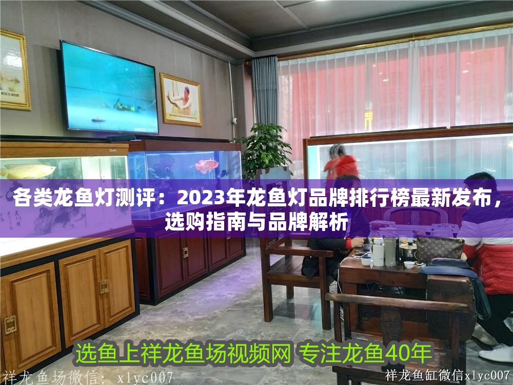 各類龍魚燈測評：2023年龍魚燈品牌排行榜最新發(fā)布，選購指南與品牌解析 各類龍魚燈測評：2023年龍魚燈品牌排行榜最新發(fā)布，選購指南與品牌解析 龍魚百科 第1張