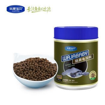 印尼大湖紅龍魚和印尼辣椒哪個好釣：印尼大湖紅龍魚與印尼辣椒，哪個更好釣？