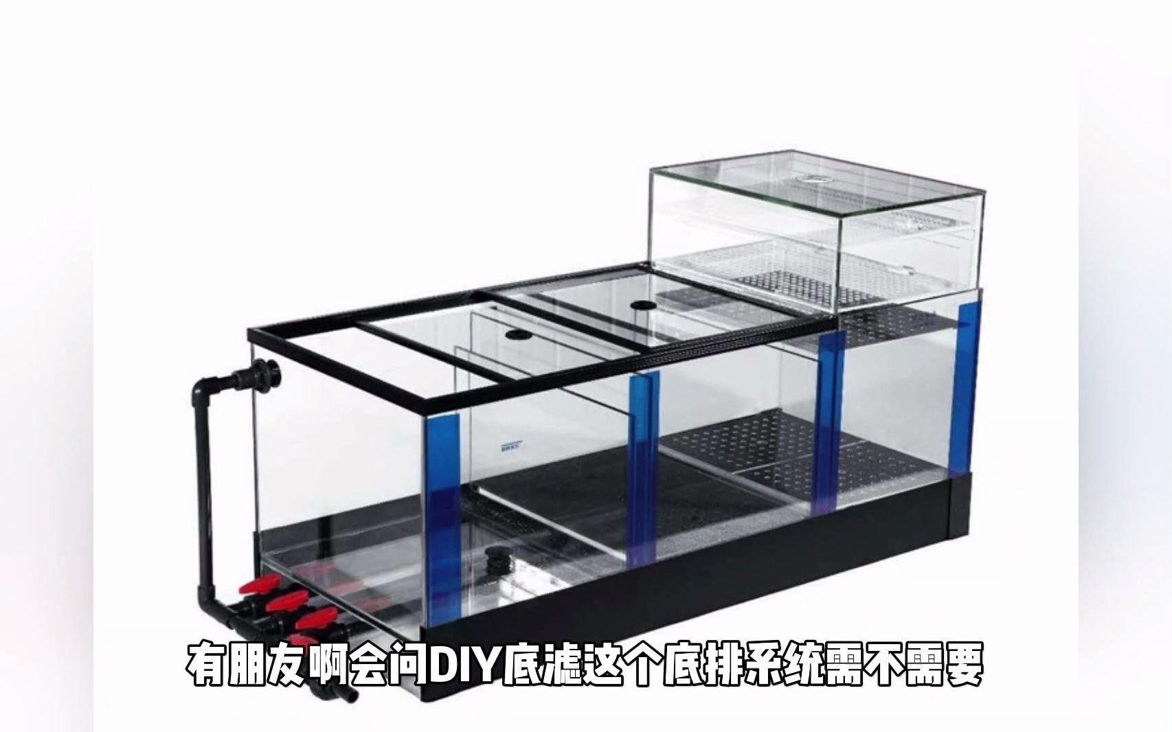 如何預(yù)防紅龍蒙眼病的發(fā)生？