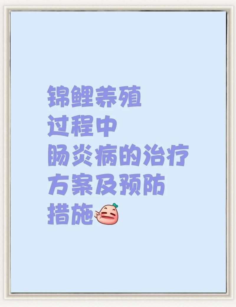 魚腸炎一般禁食幾天 魚腸炎一般禁食幾天 龍魚百科 第1張