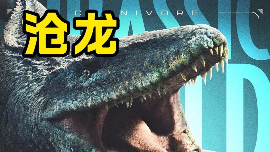 霍夫曼滄龍和海王龍哪個更稀有？