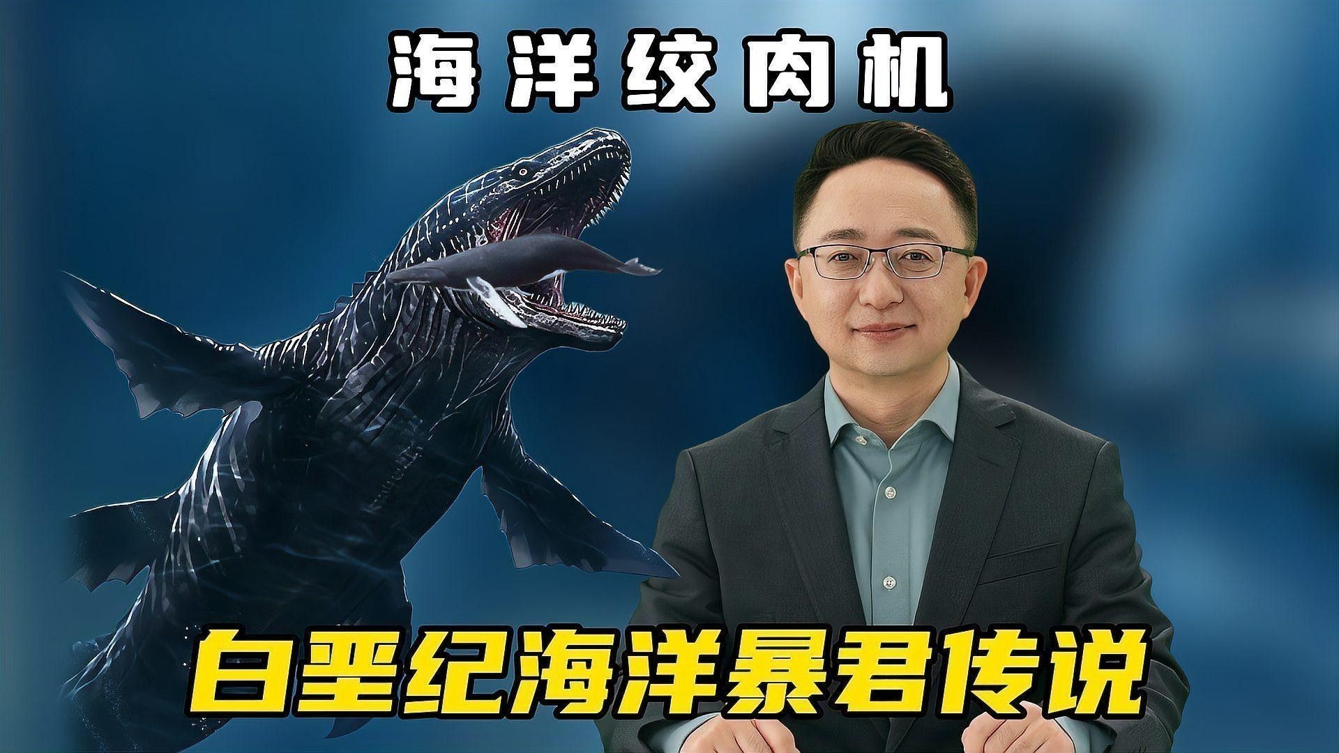 霍夫曼滄龍和海王龍哪個更稀有？