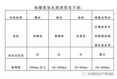 大型魚(yú)類(lèi)飼養(yǎng)水質(zhì)要求：飼養(yǎng)銀龍魚(yú)時(shí)需要注意的水質(zhì)要求 大型魚(yú)類(lèi)飼養(yǎng)水質(zhì)要求：飼養(yǎng)銀龍魚(yú)時(shí)需要注意的水質(zhì)要求 龍魚(yú)百科 第3張