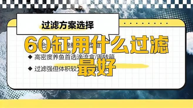 如何增強60升魚缸的過濾效果？