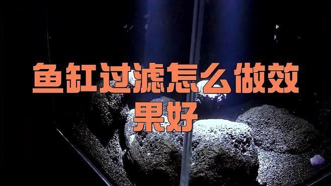 如何增強60升魚缸的過濾效果？