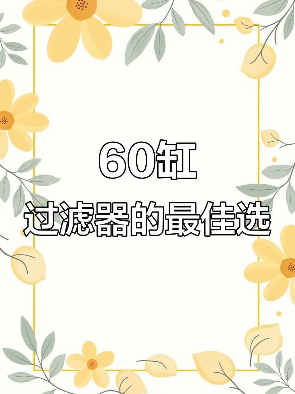 如何增強60升魚缸的過濾效果？
