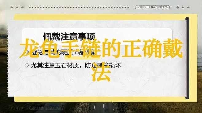 龍龜手鏈的價格是多少？ 龍龜手鏈的價格是多少？ 龍魚百科 第1張