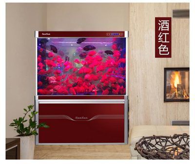 龍魚(yú)用什么過(guò)濾好：養(yǎng)龍魚(yú)過(guò)濾系統(tǒng)維護(hù)的常見(jiàn)誤區(qū)