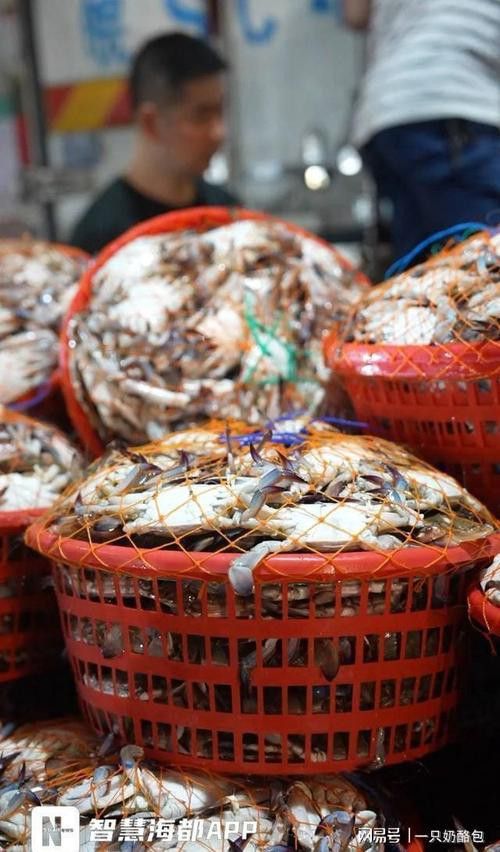 寧德龍魚(yú)專(zhuān)賣(mài)店