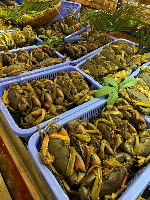寧德龍魚(yú)專(zhuān)賣(mài)店