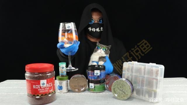 如何判斷魚糧的易消化性？：判斷魚糧的易消化性是飼養過程中的重要環節是飼養過程中的重要環節