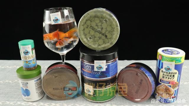 如何判斷魚糧的易消化性？：判斷魚糧的易消化性是飼養過程中的重要環節是飼養過程中的重要環節
