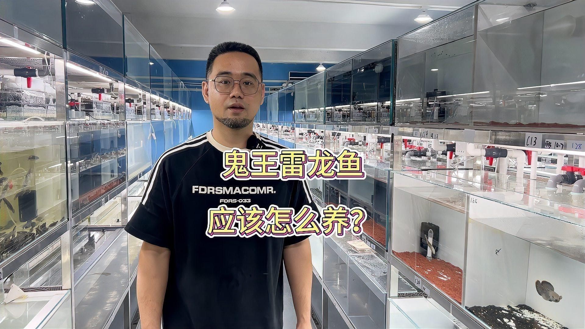 雷龍魚鬼王怎么樣好養嗎