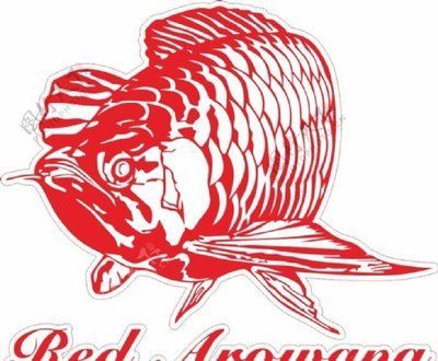 商標紅龍魚（紅龍魚商標屬于第1類-化學原料類商標）