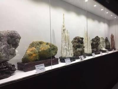 龍魚化石在哪個博物館：“龍魚化石”在哪個博物館 龍魚化石在哪個博物館：“龍魚化石”在哪個博物館 龍魚百科 第3張