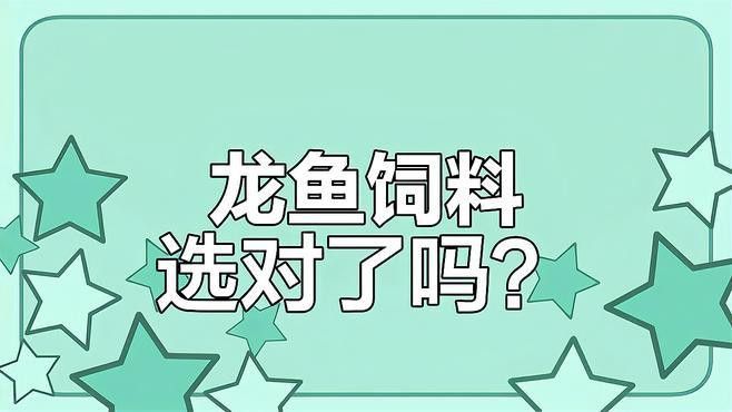 金龍魚專用飼料哪個性價比最高？ 金龍魚專用飼料哪個性價比最高？ 龍魚百科 第6張