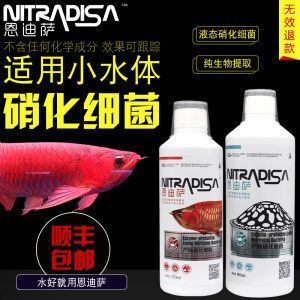 龍魚萬(wàn)能藥跟龍魚清菌靈會(huì)殺死硝化細(xì)菌嗎？：龍魚萬(wàn)能藥和龍魚清菌靈會(huì)對(duì)硝化細(xì)菌產(chǎn)生致命影響嗎