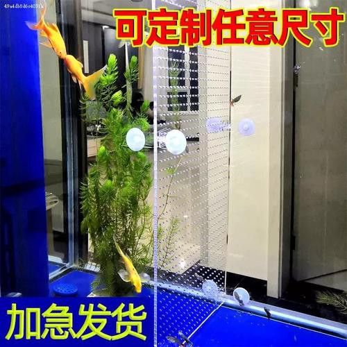 混養時如何減少紅龍魚的應激反應？