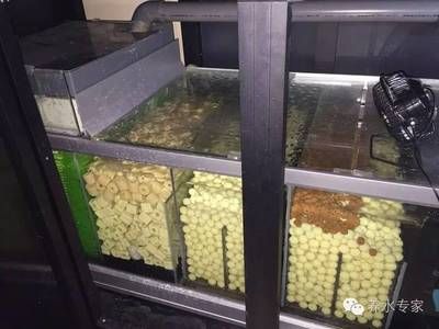 龍魚底濾濾材如何搭配，養龍魚底濾濾材的選擇和搭配
