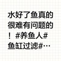 如何保持白子招財龍的水質穩(wěn)定
