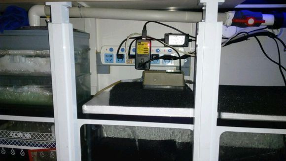 森森魚缸底濾怎么改干濕分離，干濕分離魚缸過濾效果對比 森森魚缸底濾怎么改干濕分離，干濕分離魚缸過濾效果對比 龍魚百科 第3張