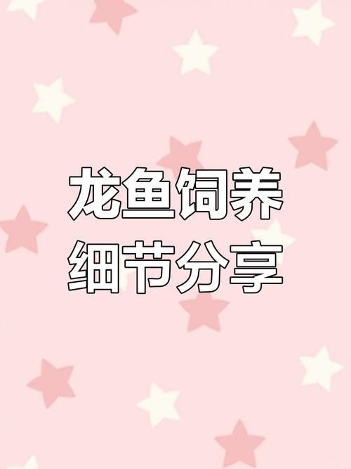 龍魚需要什么濾材養