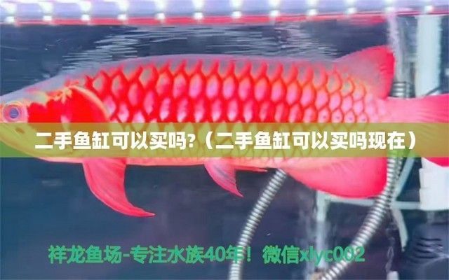 魚缸能買舊的嗎（二手魚缸過濾系統怎么選魚缸水泵維護小技巧養魚新手必備知識清單）