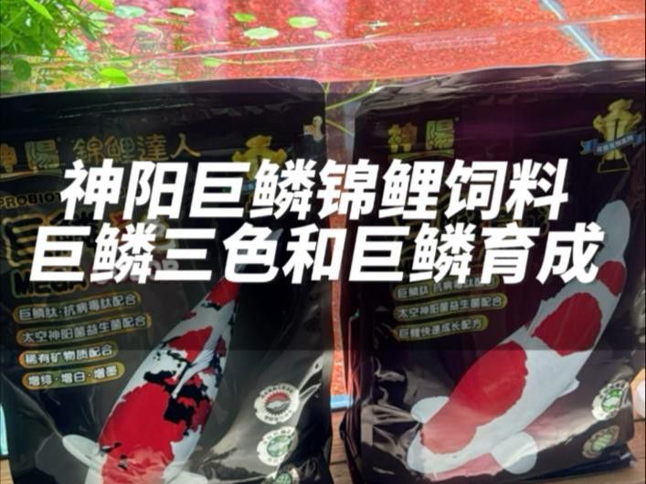 這些增色飼料中哪個效果最好？
