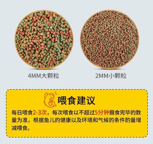 這些增色飼料中哪個效果最好？