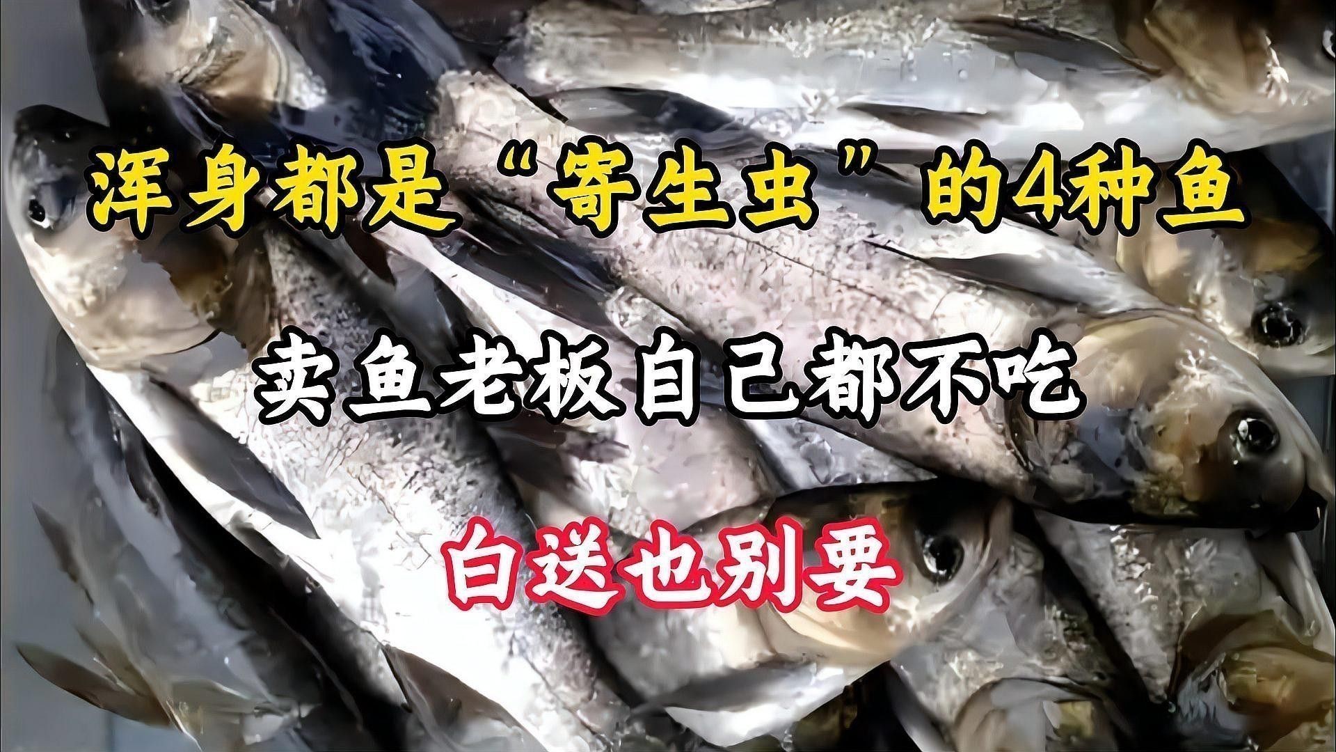 如何預防紅龍魚的寄生蟲感染？ 如何預防紅龍魚的寄生蟲感染？ 龍魚百科 第2張