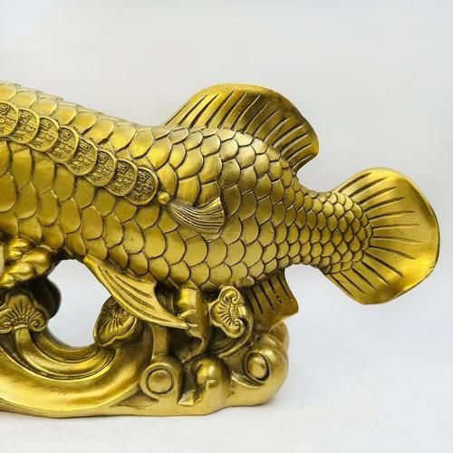 龍魚(yú)鎮(zhèn)宅聚財(cái)圖片 龍魚(yú)鎮(zhèn)宅聚財(cái)圖片 龍魚(yú)百科 第24張