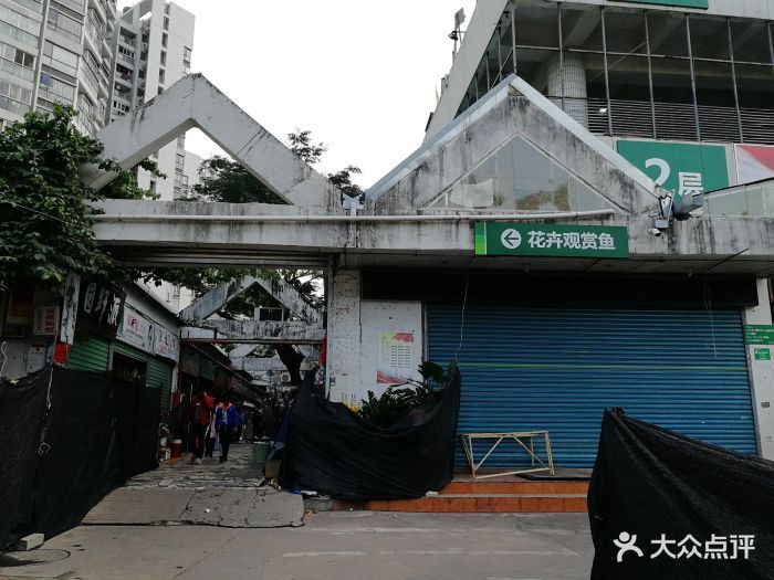 深圳買龍魚最大的市場叫什么：深圳賣龍魚最大市場是布吉海鮮批發市場布吉海鮮批發市場 深圳買龍魚最大的市場叫什么：深圳賣龍魚最大市場是布吉海鮮批發市場布吉海鮮批發市場 龍魚百科 第4張
