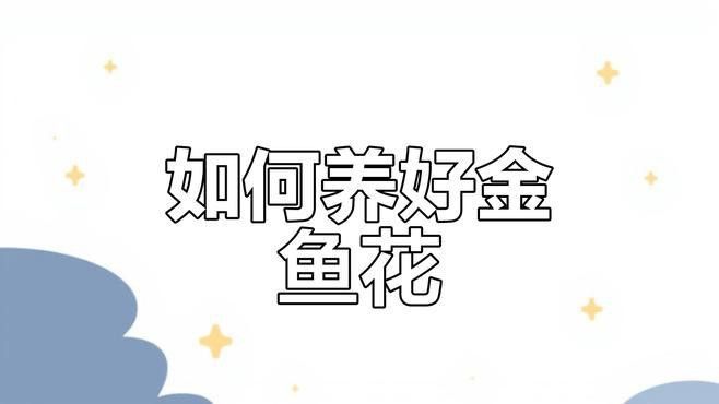 金龍魚2019年股價（金龍魚2019年的股價表現情況如何）
