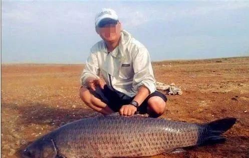 青龍魚好不好釣魚，“青龍魚”的釣魚情況 青龍魚好不好釣魚，“青龍魚”的釣魚情況 龍魚百科 第5張