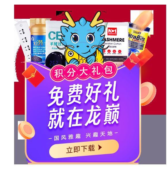 龍魚外細菌感染